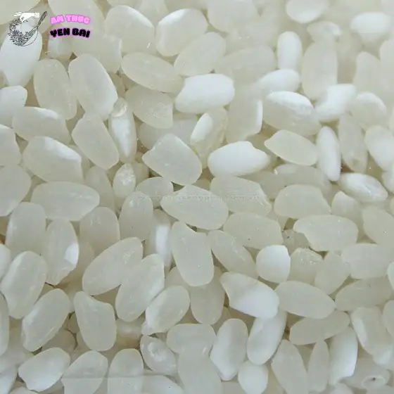 Gạo nếp Tú Lệ